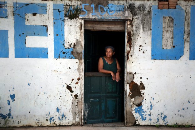 dog-jp-macur-1-master675