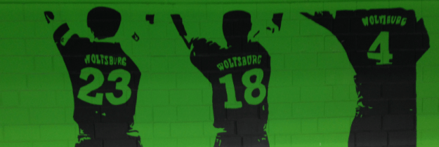 travel_vflWolfsburg_header