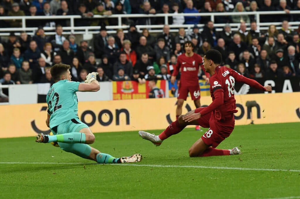 Newcastle 0 Liverpool 2: Klopp’s top-four bid alive, Pope’s agony ...